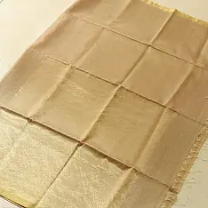 Colors of Devotion | Handloom Maheshwari Silk Silver Off White Saree - Half-Half Golden Zari Weaving