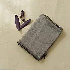 Pavitra . पवित्रा ✦ Handloom Maheshwari Tissue Zari Saree - Silver & Black