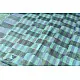 Block Printed Saree . Cotton Silk Handloom - Sparrow Motif