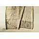 Natural Color . Pure Silk Saree