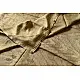 Natural Color . Pure Silk Saree - Light Coffee Color 