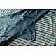 Natural Color . Pure Silk Saree - Sky Blue Stripes 