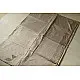 Natural Color . Pure Silk SareeNatural Dyed . Pure Silk Saree - Light Silvery Grey