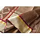 Buy Resham Zari - Banasari Silk saree