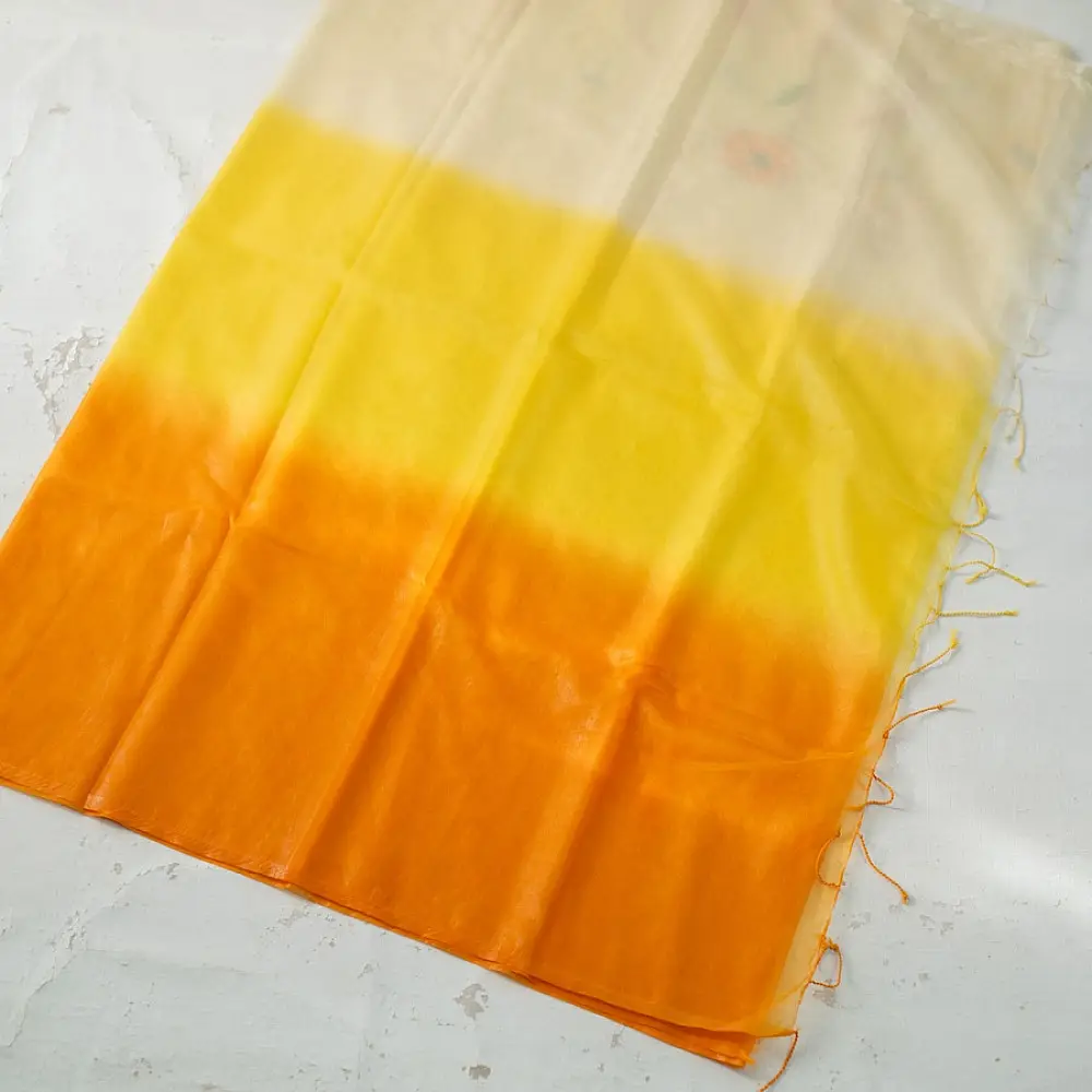 shop Organza Embroidered Saree