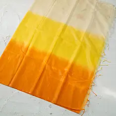 Kopal || Organza Embroidered Saree