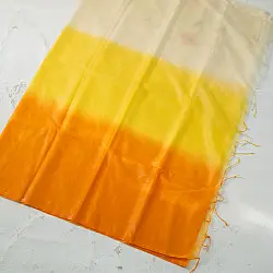 Kopal || Organza Embroidered Saree
