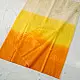 shop Organza Embroidered Saree