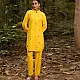 shop Hand Embroidered Chanderi Silk Co Ord Set (Set of 2)