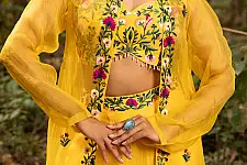 Advaya . अद्वया | Hand Embroidered Chanderi -  Organza Jacket Set Paired with Silk Blouse Includes Wide Leg Pant (Set of 3)