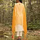 shop Hand Embroidered Chanderi - Kurta with Cigarette Pant, Organza Dupatta (Set of 3)