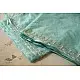 shop Handloom Organza Saree - Hand Embroidered Glass Beads