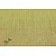 वैशाली ❂ Bhagalpuri Munga Silk Saree  ❂ 32