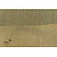 वैशाली ❂ Bhagalpuri Ghicha Raw Silk Saree  ❂ 34