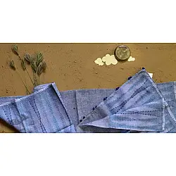 Saarang . सारंग ☁ Kota Doria Cotton Embroidered Dupatta ☁ 8