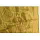 shop Kota Silk Stole Embroidered and Block Printed yellowish brown