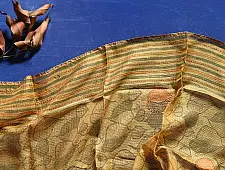 Ittefaq . इत्तफाक |  Kota Silk Stole Embroidered and Block Printed - Yellowish Brown