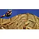 shop Kota Silk Stole Embroidered and Block Printed yellowish brown
