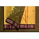 shop Cotton Silk - Woven Paithani Zari Border Saree