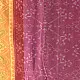 shop Handloom Cotton patola ikat dupatta