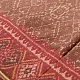 shop Patola cotton Handwoven Saree -  A