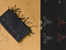 Gulmohar . गुलमोहर | Tangaliya ⁂ Cotton Scarf - Carbon Black