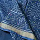 shop Patola cotton Handwoven Saree - 