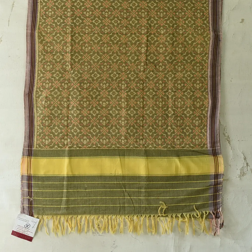 shop Handloom Cotton patola ikat green dupatta