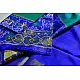 exclusive silk handwoven partola green & blue saree