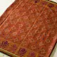 shop Patola cotton Handwoven Saree - rust red