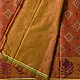 shop Patola cotton Handwoven Saree - rust red