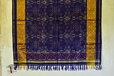 Rasika ❣ Silk Patola Dupatta ❣ 10