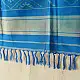 shop Patola Pure Silk Sky Blue Dupatta 