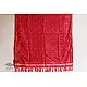 Rasika ✼ Patola Silk Dupatta ✼ 3
