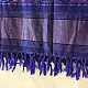 shop Woolen Patola Shawl -Blue Hathi Motif