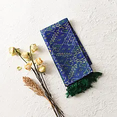 Rasika ✼ Patola Silk Dupatta ✼ 11