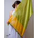 A Symphony in Color | Hand Knitted Crochet Chanderi Stole - L