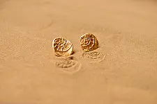 Ottone ✡ Earring ✡ Fossil Stud - 2 ✡ 19