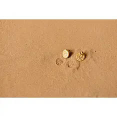 Ottone ✡ Earring ✡ Fossil Stud - 3 ✡ 20