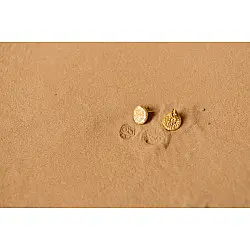 Ottone ✡ Earring ✡ Fossil Stud - 3 ✡ 20 Ottone ✡ Earring ✡ Fossil Stud - 3 ✡ 20