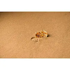 Ottone ✡ Earring ✡ Fossil Stud - 4 ✡ 21