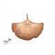 Ginkgo Leaf Platter - Copper 