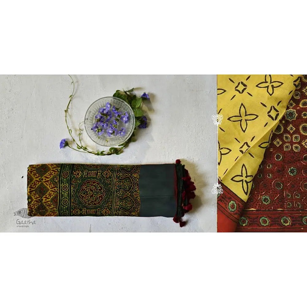 चारु ⚘ Ajrakh Mul Cotton Saree ⚘ 19
