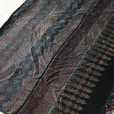 Shruti | Hand Block Printed - Ajrakh Modal Silk Saree