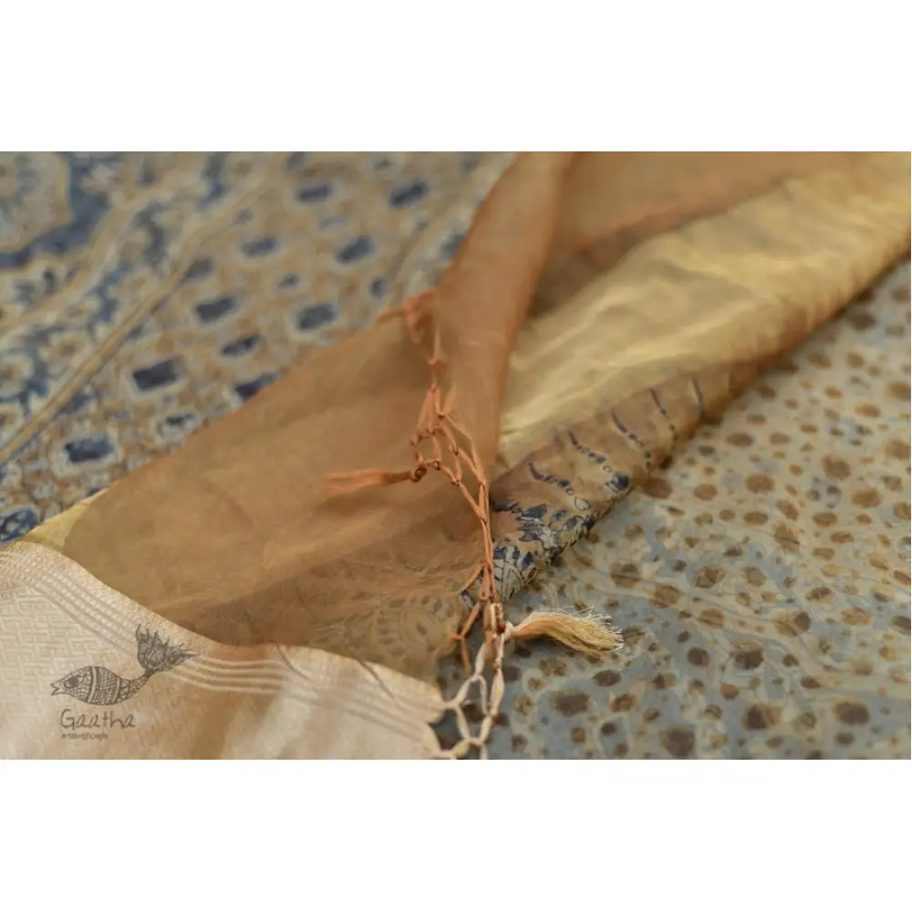 Organza ajrakh printed saree with zari border