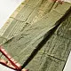 sage green handloom maheshwari tissue silk cotton saree with broad golden zari panels and red borders for women