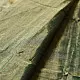 sage green handloom maheshwari tissue silk cotton saree with broad golden zari panels and red borders for women