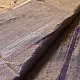 violet and gold handloom maheshwari tissue silk cotton saree with fine striped body and red borders for women