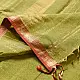 leaf green and gold handloom maheshwari tissue silk cotton saree with fine striped body and red borders for women