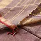 buy Handloom Maheshwari Cotton by Tissue blue Saree